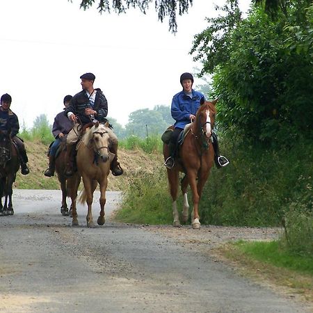 Chambre D'Hotes La Jaunais Virey Zewnętrze zdjęcie